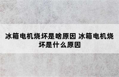 冰箱电机烧坏是啥原因 冰箱电机烧坏是什么原因